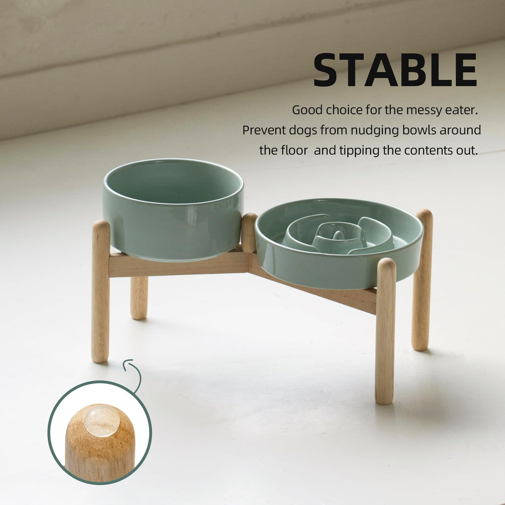 Havniva two light-green bowls with stand suits multi-pet households