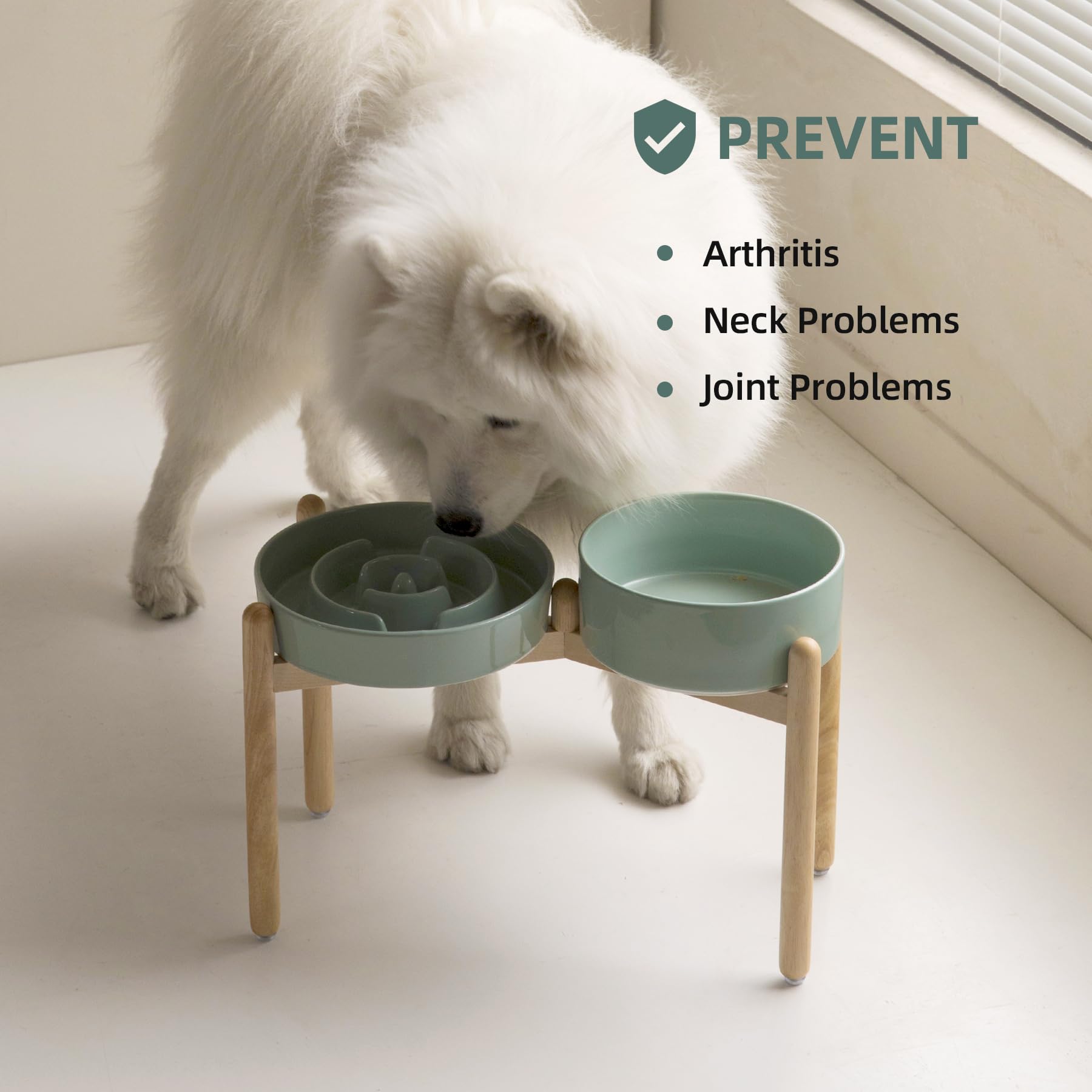 Havniva two light-green bowls with anti-gulping design.