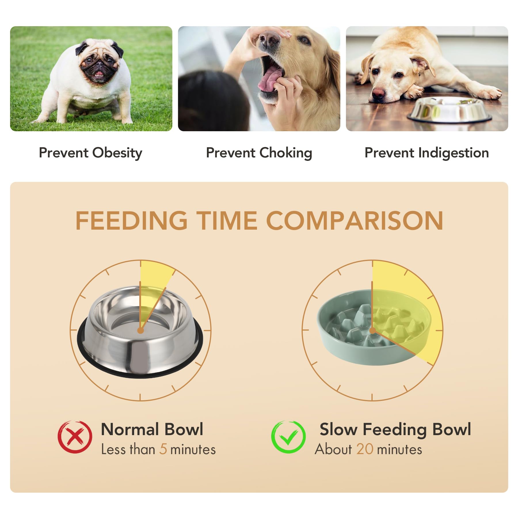 Havniva two-pack light-green bowls offer convenient setup for multi-dog households.