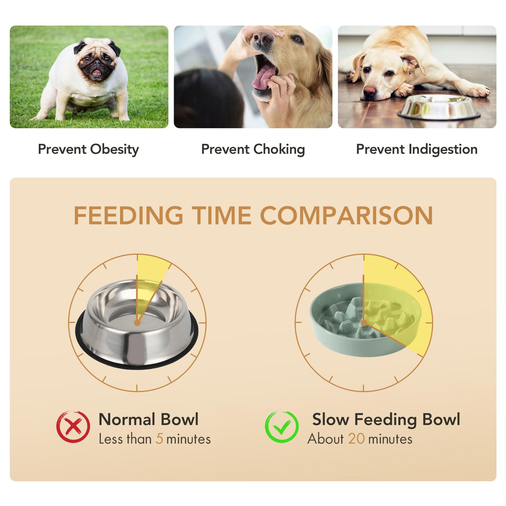 Havniva two-pack light-green bowls offer convenient setup for multi-dog households.