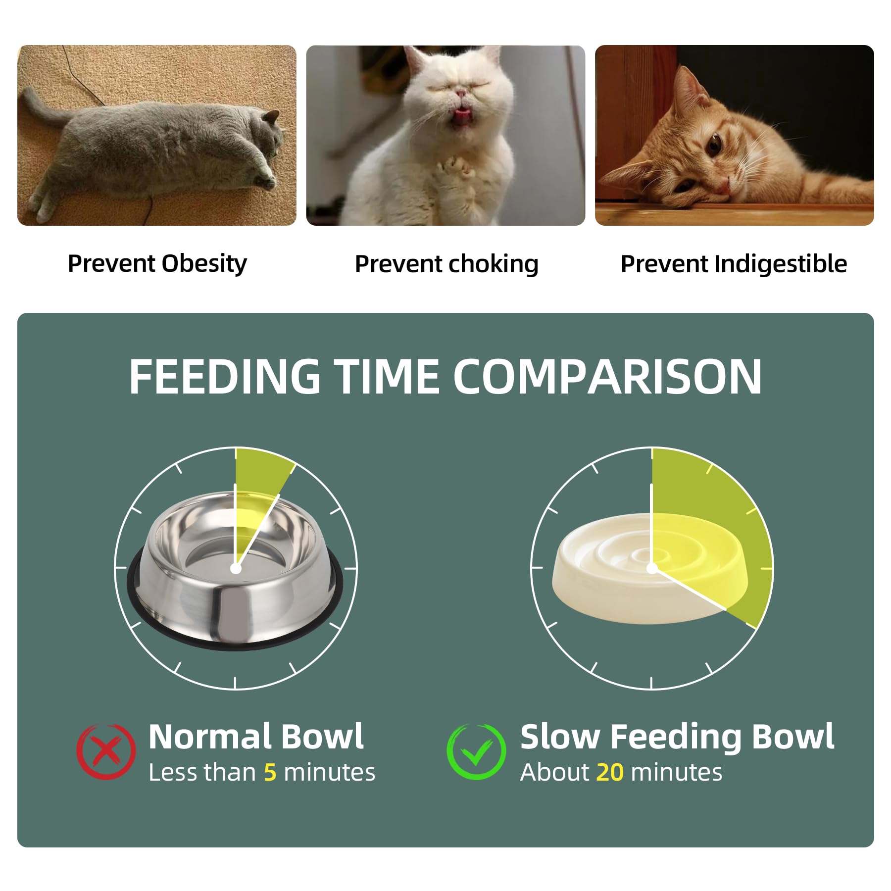 Havniva water bowl 5-1inch complements slow feeding setup and hydration
