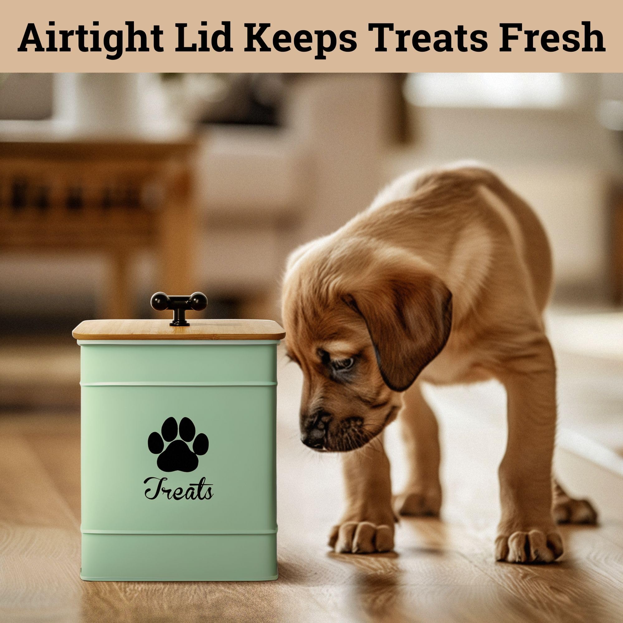 HB Design Co. 12-cup capacity treat jar demonstrates generous snack storage.
