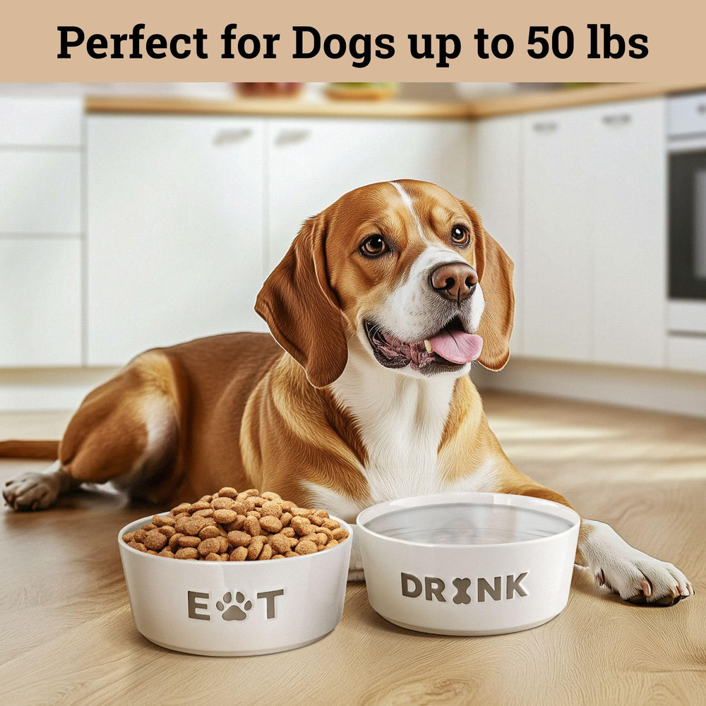 HB Design Co modern white decorative dog bowls brighten any feeding area.