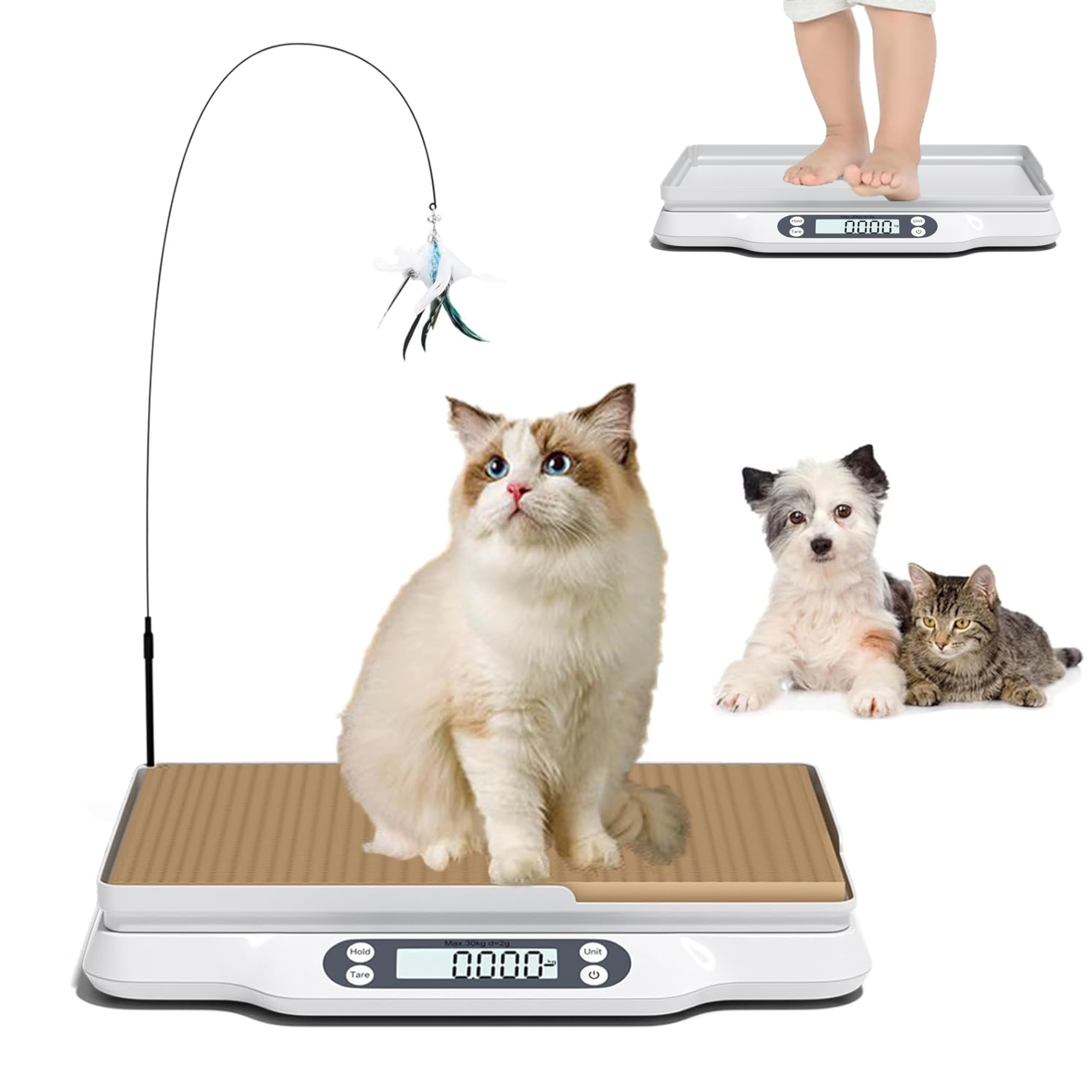HBYCDSTF Digital Pet Scale with Cat Scratch Board for kittens and small pets