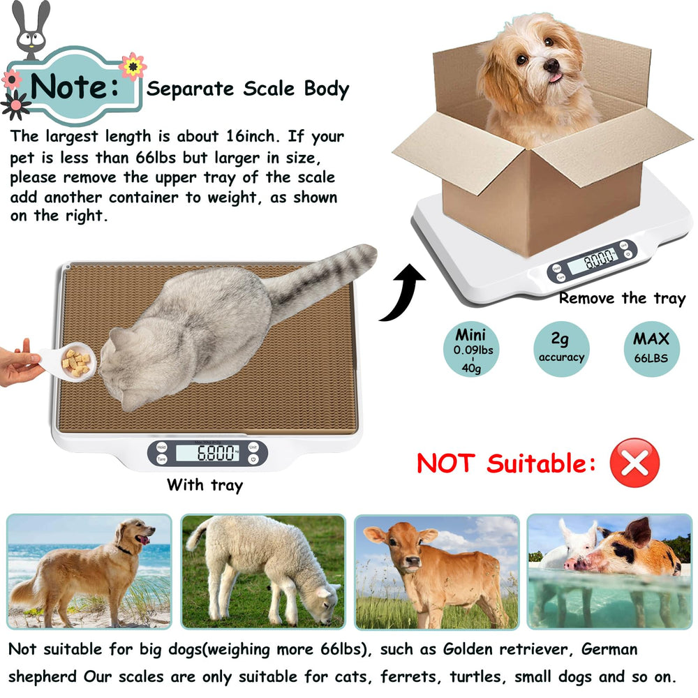 HBYCDSTF Digital Pet Scale LCD display visible in low light