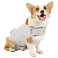 HCHYEY dog anxiety jacket worn by a calm dog during a walk