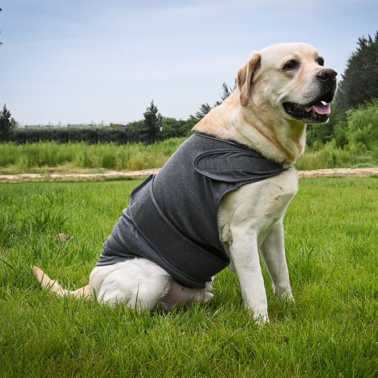 HCHYEY dog anxiety jacket breathable skin-friendly fabric for comfort.
