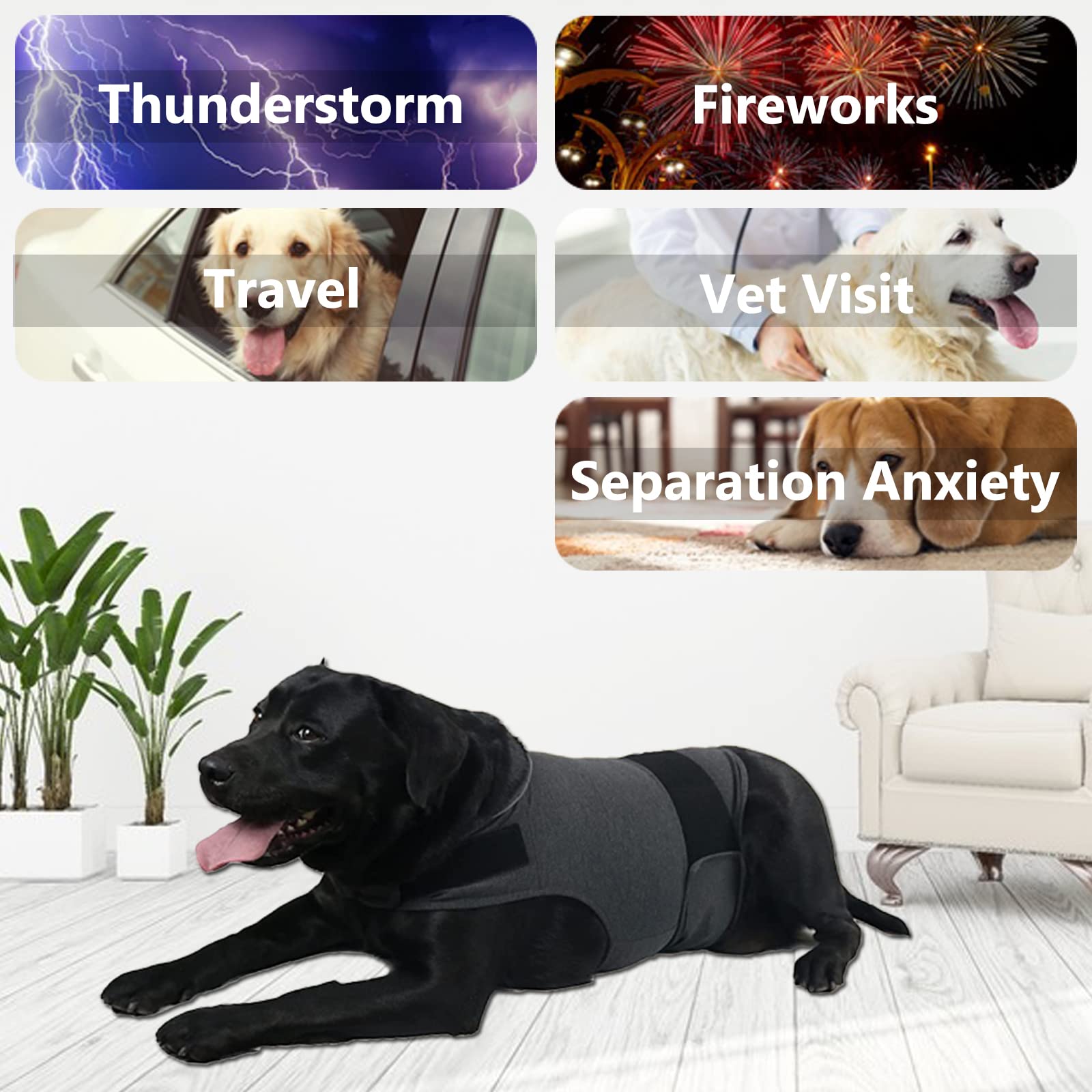 HCHHEY dog anxiety jacket showcases six colors for style and calm.