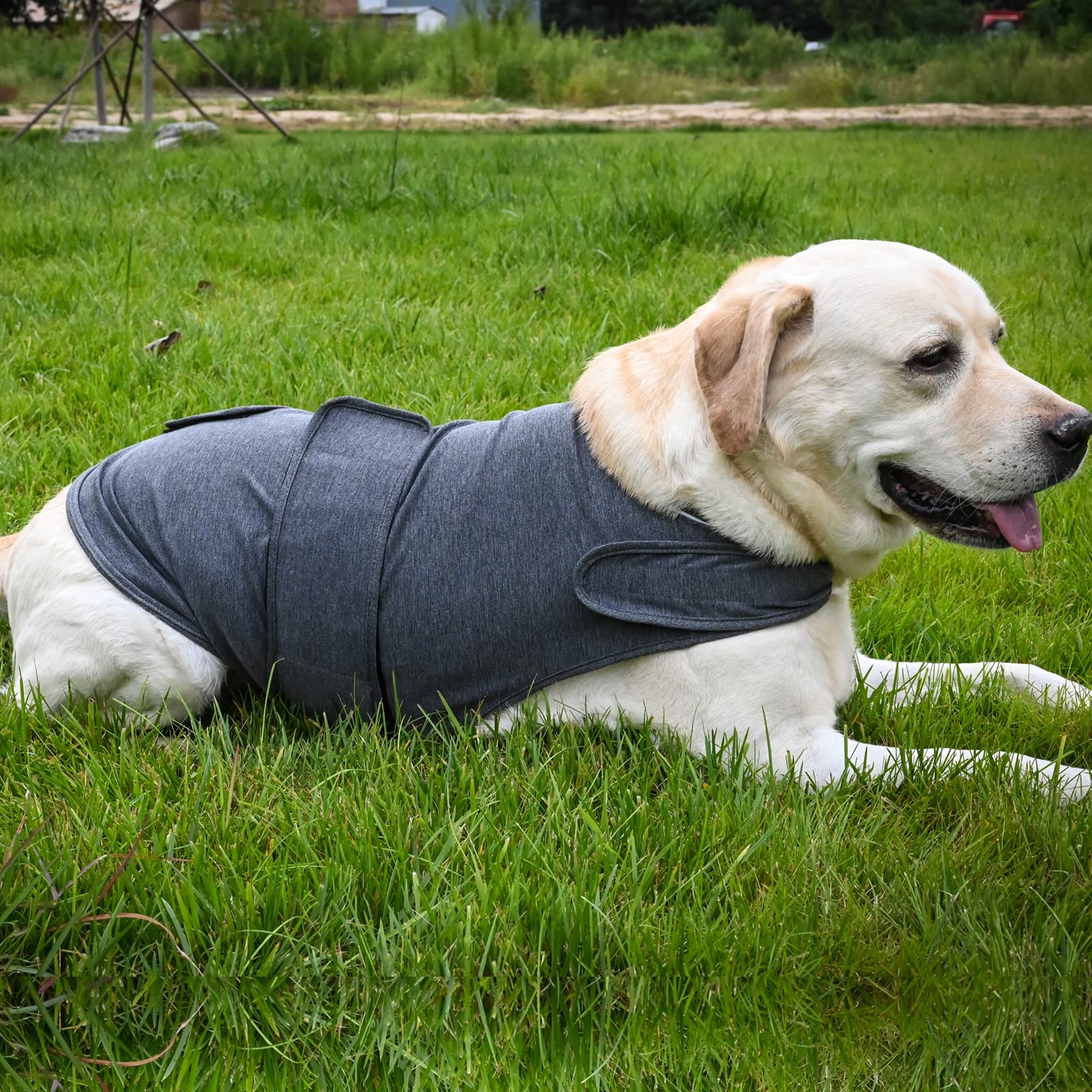 HCHYEY dog anxiety jacket size chart and adjustable fit.