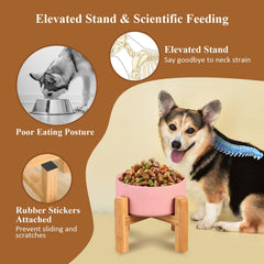 HCHLQLZ cat feeder porcelain bowl is dishwasher-safe for easy cleanup.