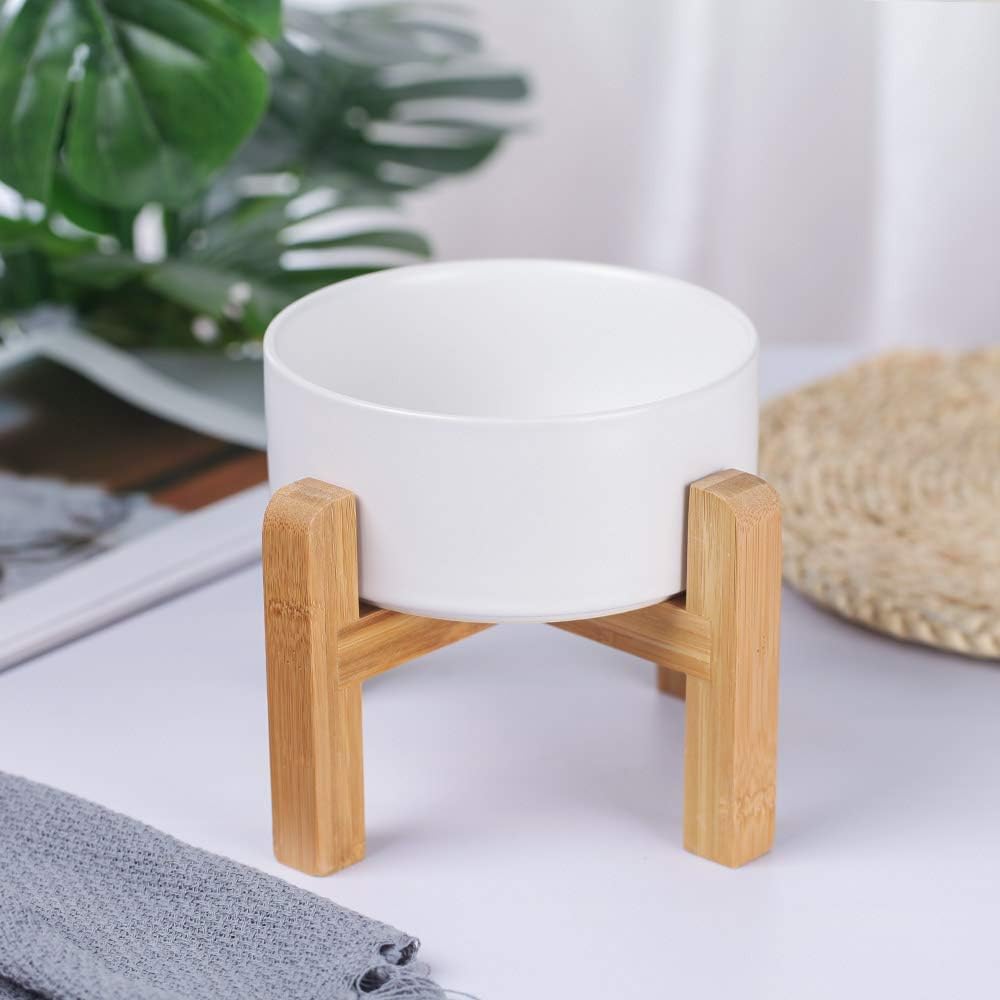 HCHLQLZ ceramic elevated bowl top view highlights easy access and clean setup.