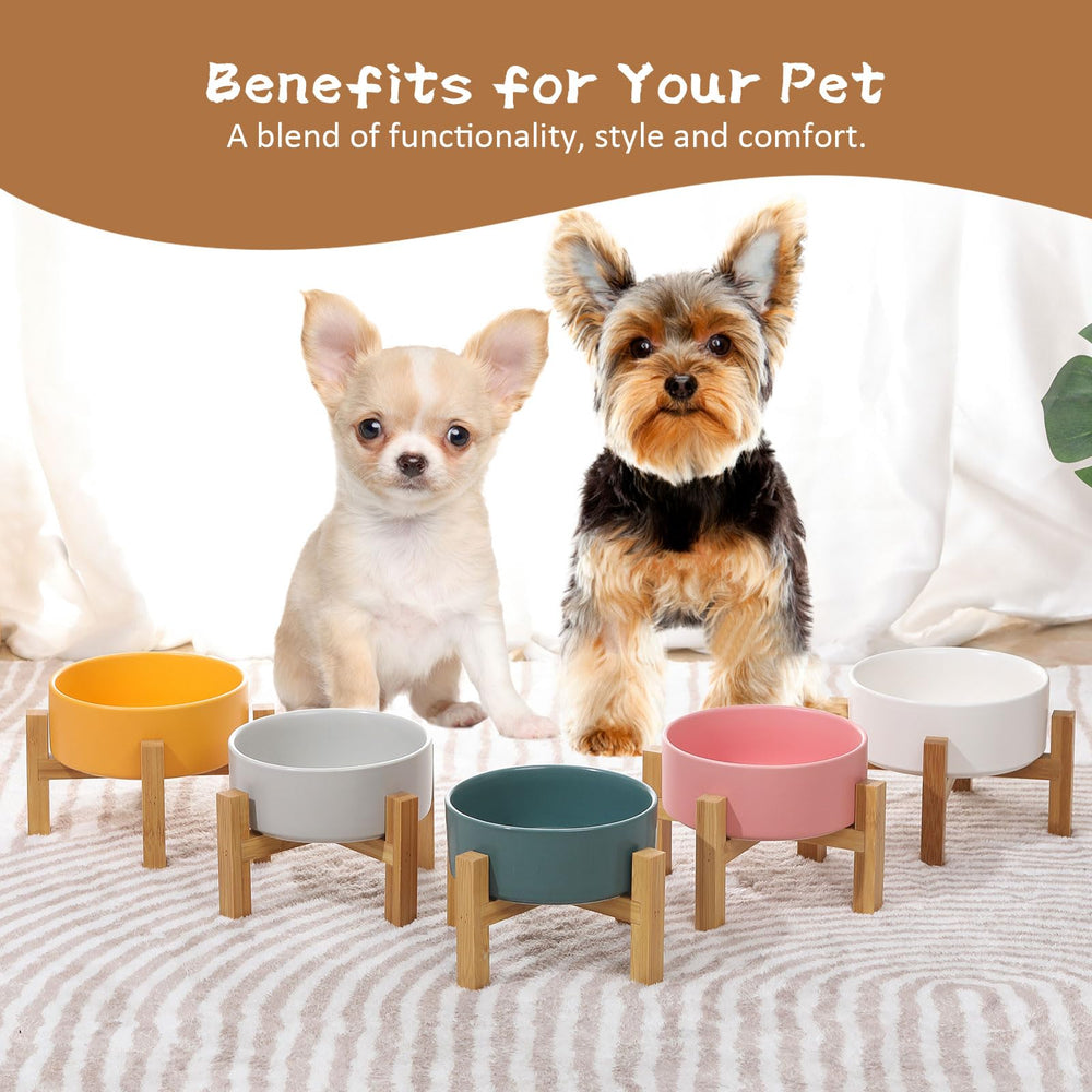 HCHLQLZ elevated cat bowl bamboo stand assembly highlights portable setup.