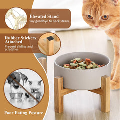 HCHLQLZ elevated bowl angled view shows a non-slip wooden base for steady meals.