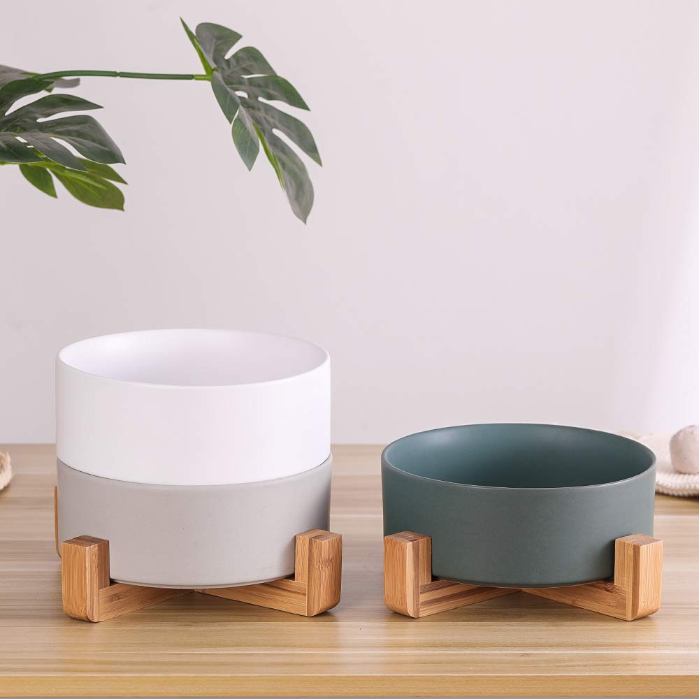 HCHLQLZ flat-faced friendly bowl showing whisker-friendly design during meals