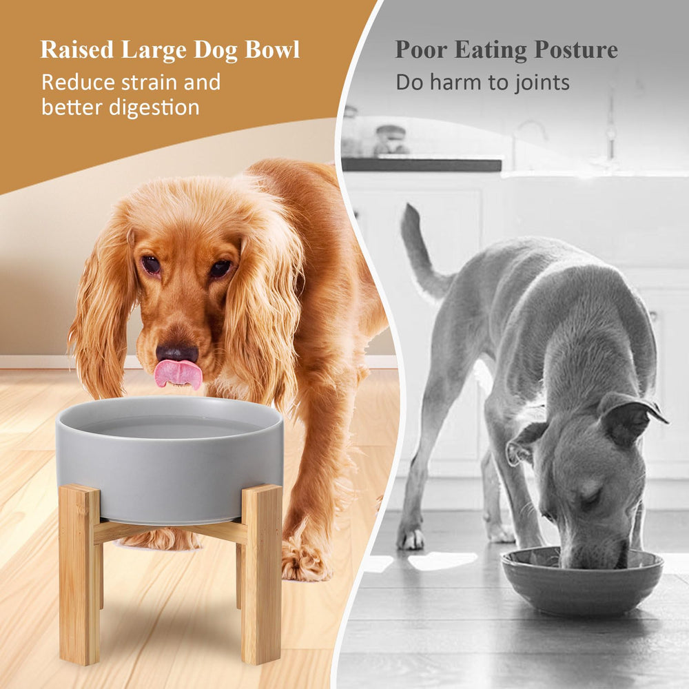 HCHLQLZ heavy-weighted non-tip design keeps bowl steady.