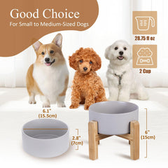 HCHLQLZ no-spill pet feeder keeps food and water in place during meals.