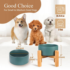 HCHLQLZ porcelain cat bowl with non-slip base prevents sliding during meals.