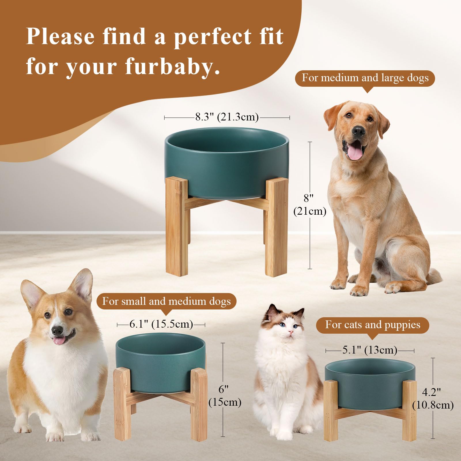 HCHLQLZ puppy dining setup with raised dish for comfortable eating