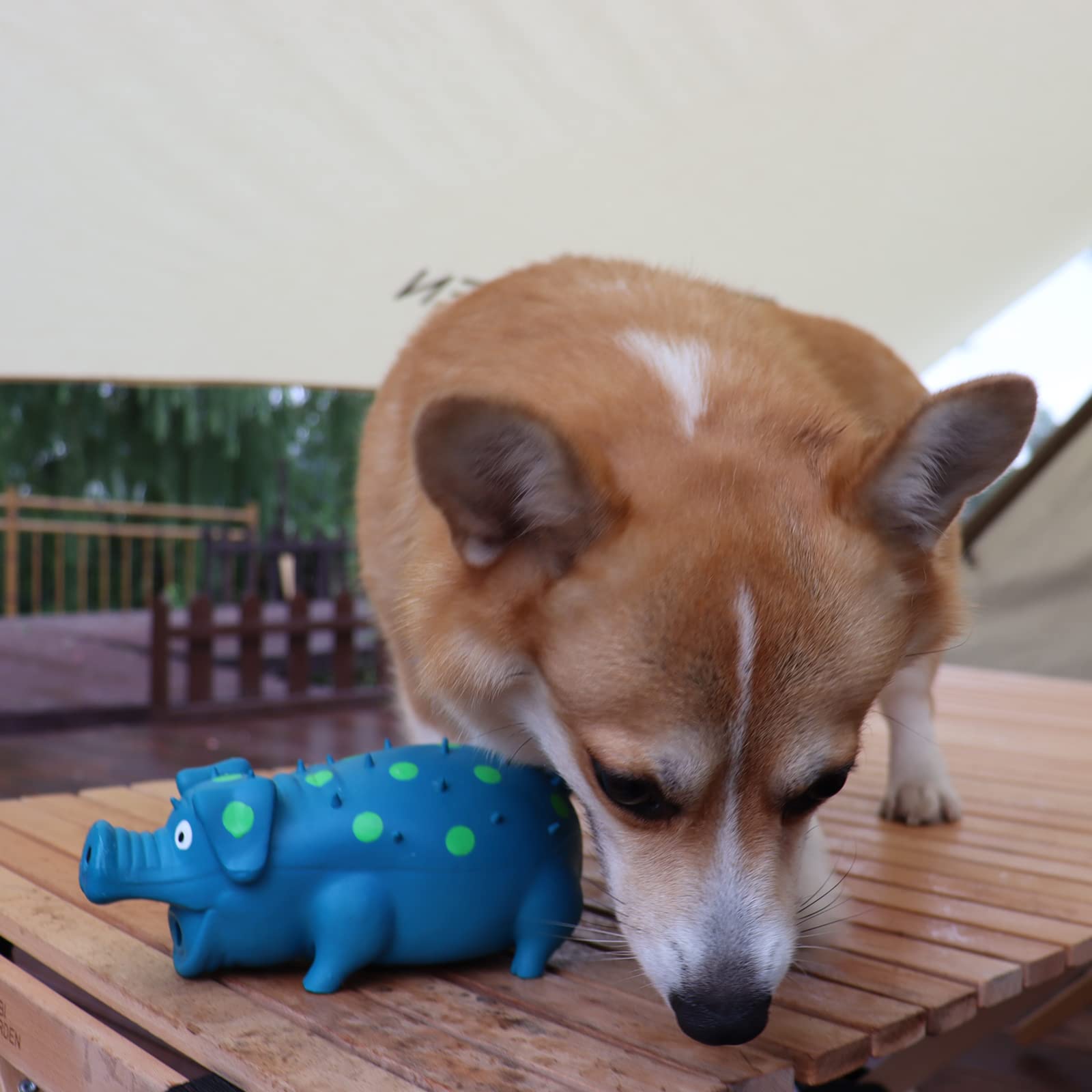 HCHYE Color options close-up, suitable for different dog sizes and chewing styles.