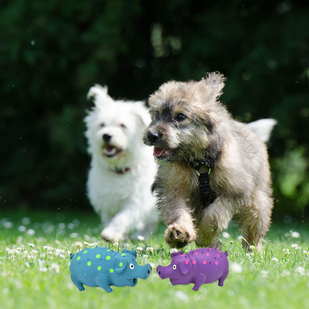 HCHYE Two-pcs pack image, convenient for rotation and sharing among pets.