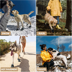 Hcpet all-season dog boots for indoor and outdoor comfort