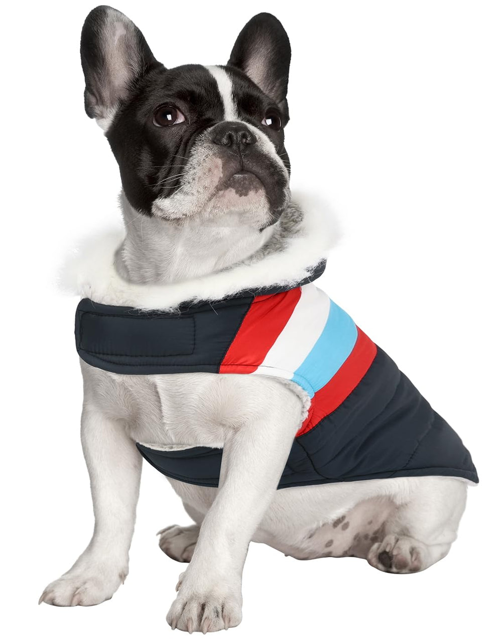 HDE dog puffer jacket with faux fur hood shields ears in wind