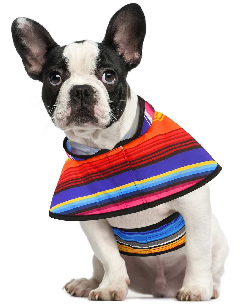 HDE dog raincoat with hood and adjustable belly strap for secure fit