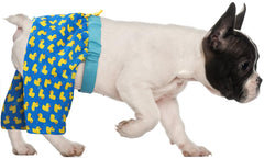 HDE dog swim trunks open underbelly design for easy potty breaks.