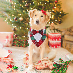 HDGDT bow tie detail adds a charming formal touch for special occasions.