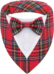 HDGDT Christmas dog tuxedo bandana front view, ideal for festive photo sessions.