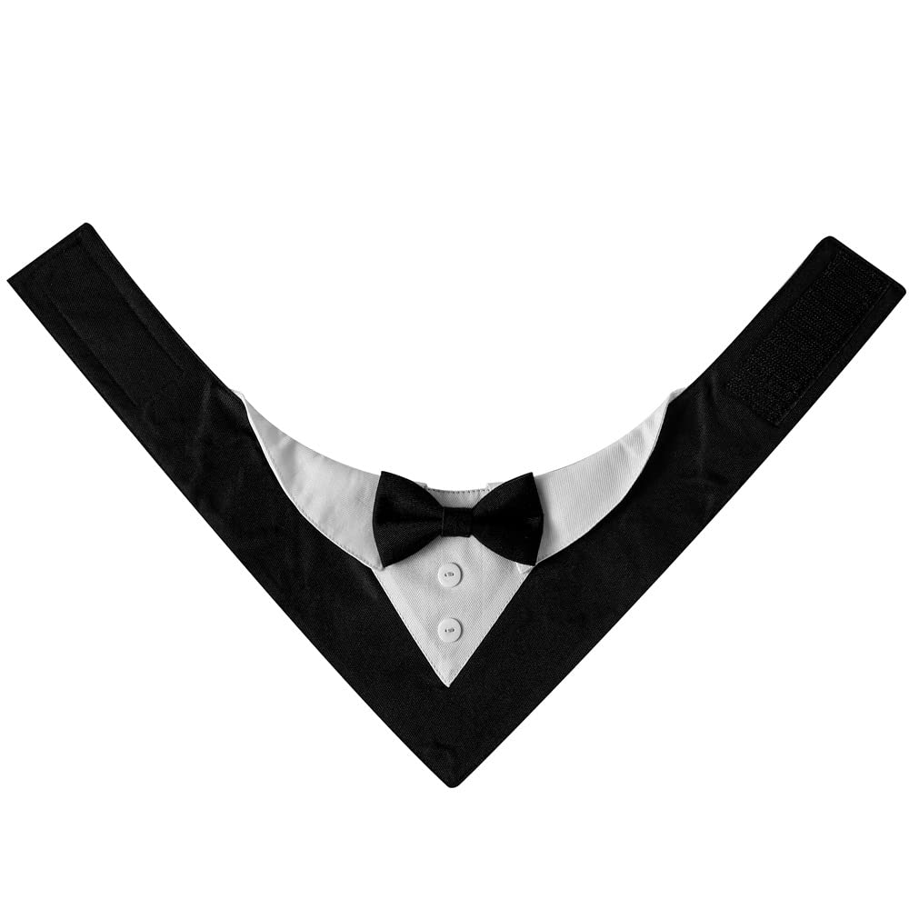 HDGDT easy-on magic strap allows quick fitting without buckles.