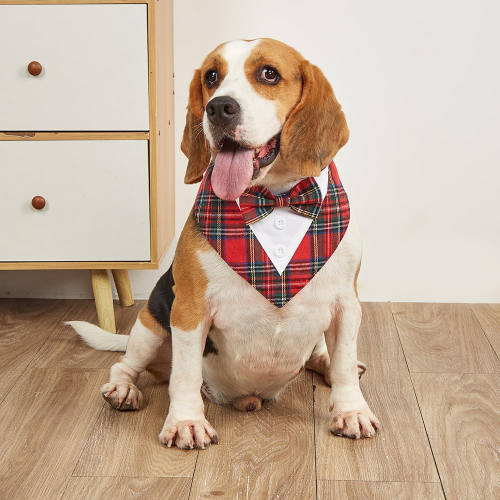 HDGDT size chart xs-xl, ensures a comfortable fit for many breeds.
