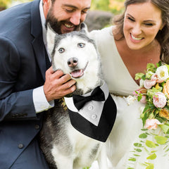 HDGDT soft breathable fabric keeps pets comfortable during celebrations.