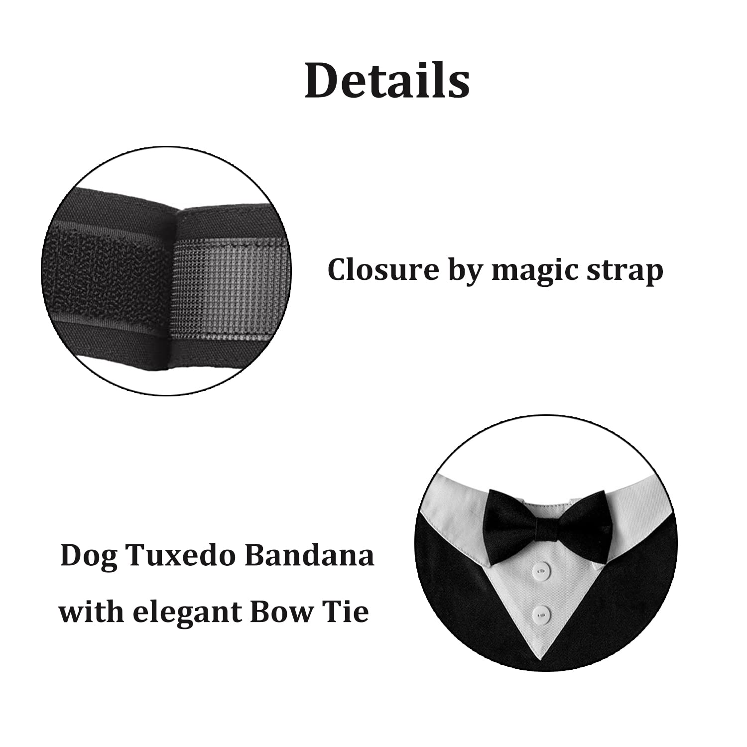 HDGDT wedding-ready look perfect for dog photoshoots and parties.