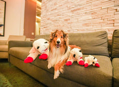 HDP Lambchop toy with squeaker, soft plush for interactive play and comforting cuddle.