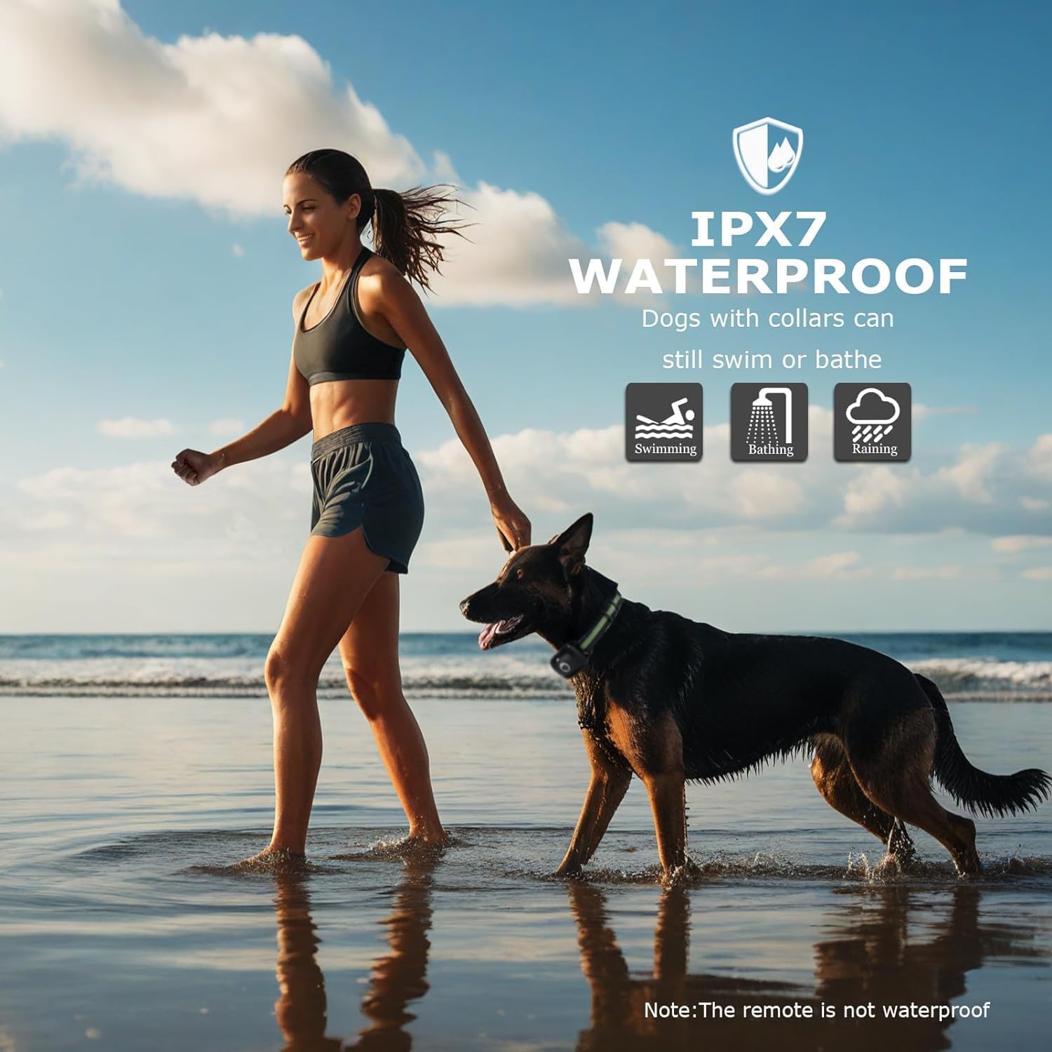 Heaflex receiver mounted on dog shows waterproof outdoor training durability.