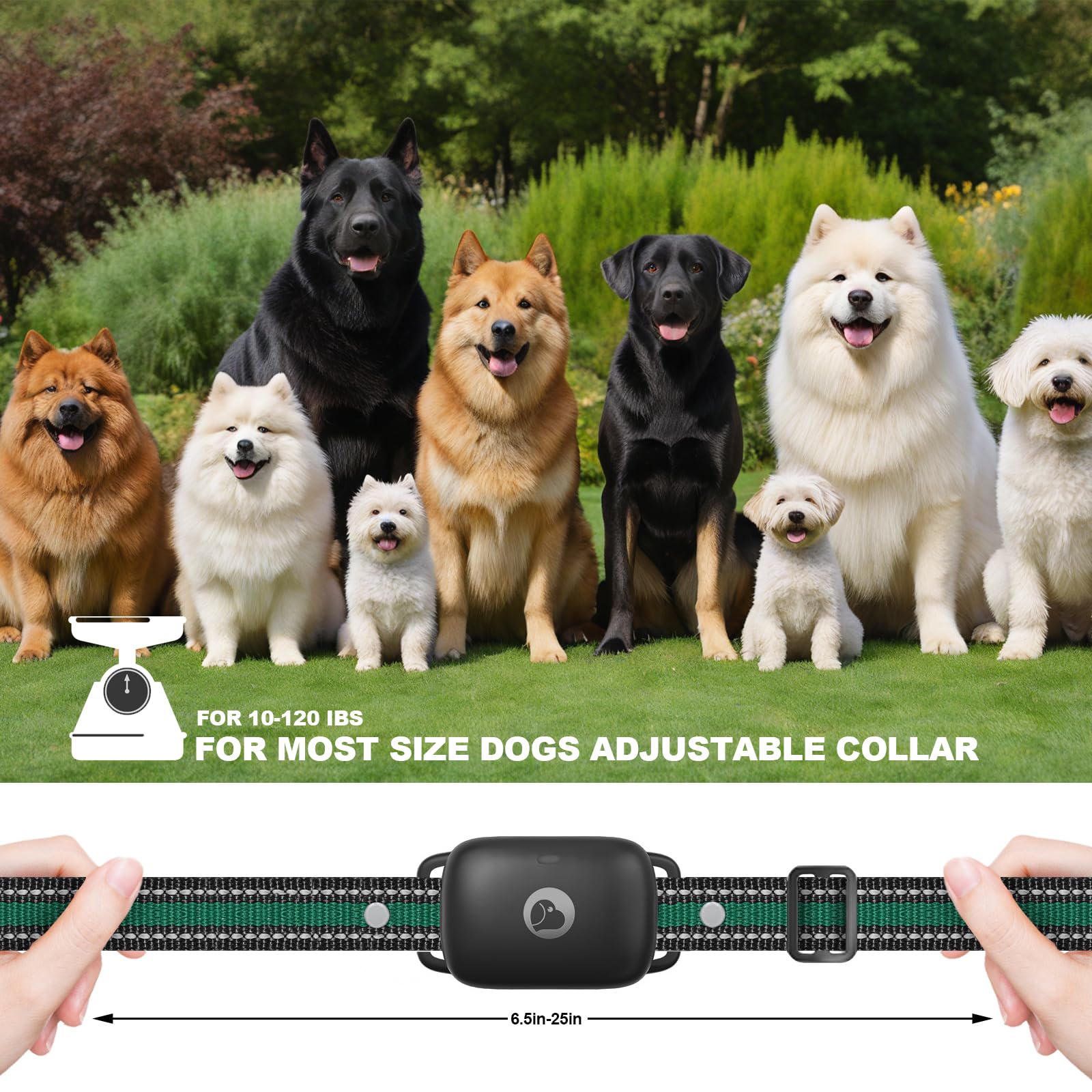 Heaflex rechargeable remote and collar simplify outdoor training with long battery life.