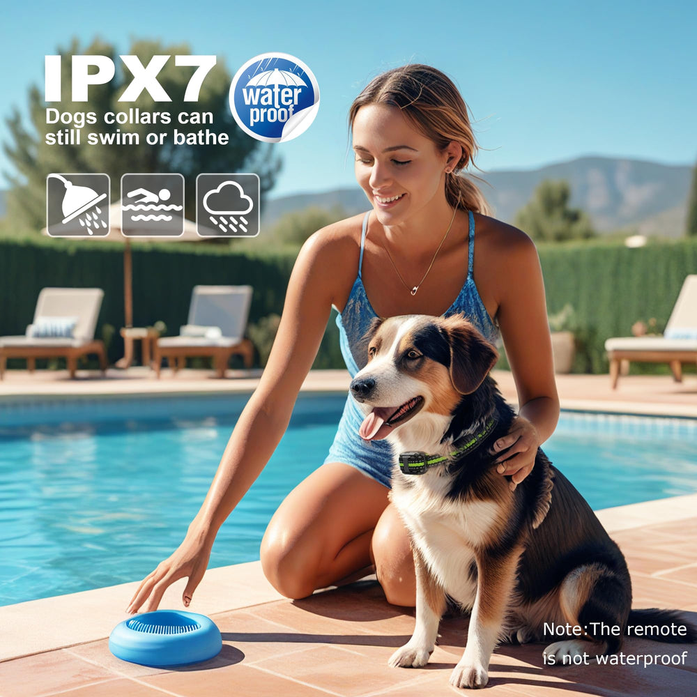 Heaflex Shock Collar waterproof receiver works in rain or splashes during outdoor activities.