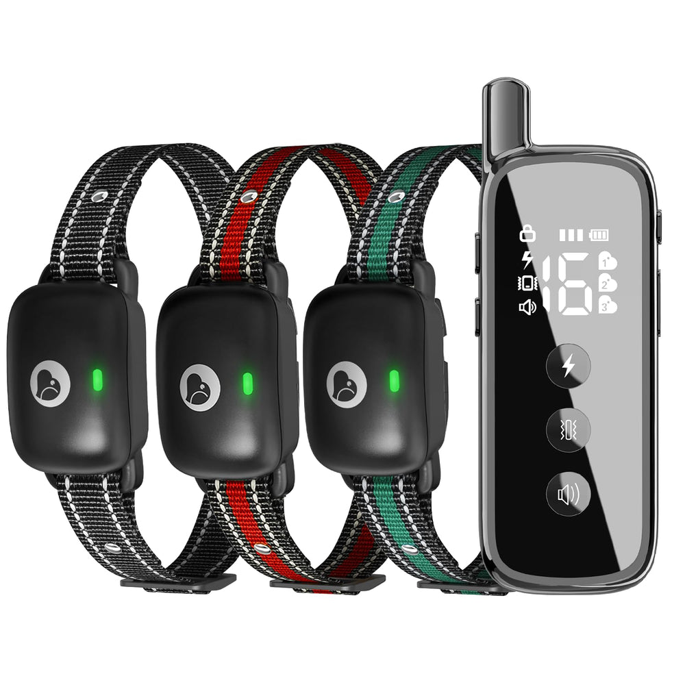 Heaflex three-dog collar remote enables synchronized training across multiple dogs.