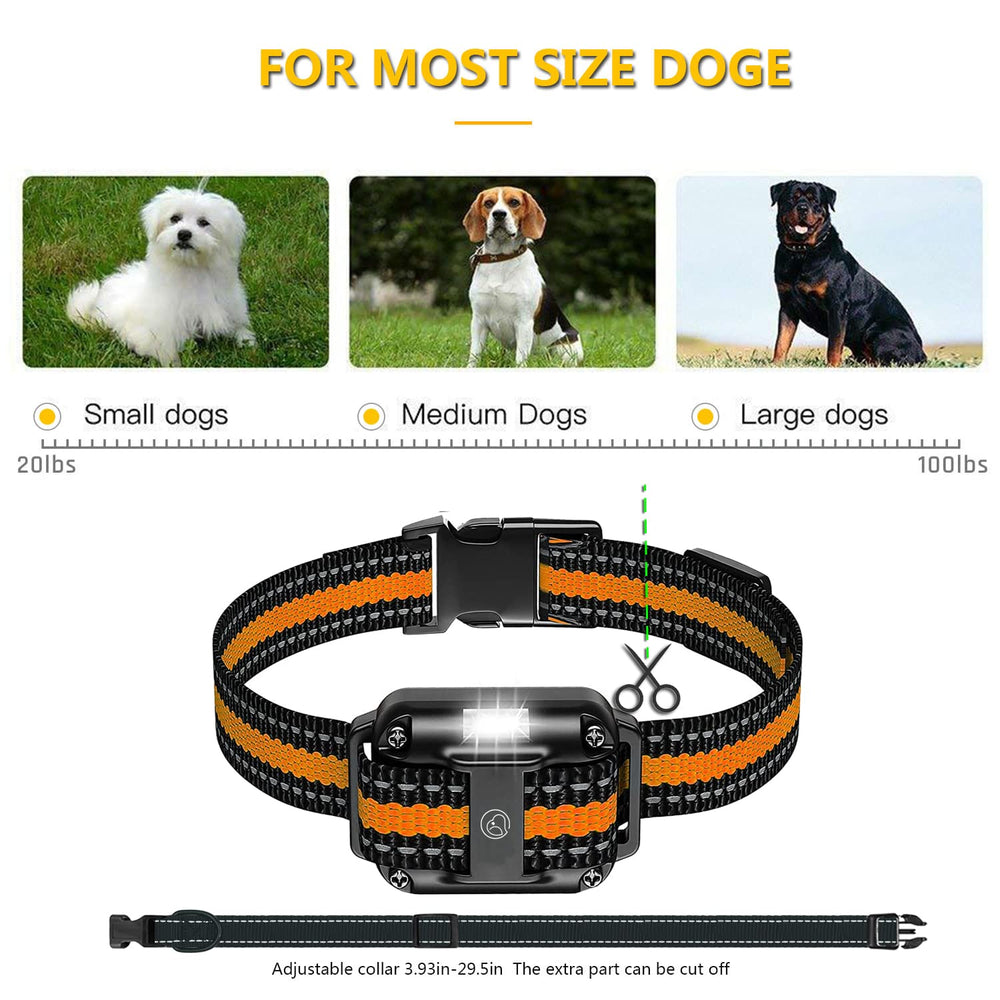 Heaflex three-dog system supports simultaneous training