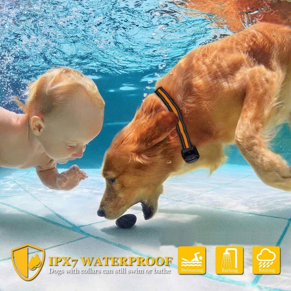 Heaflex two-dog training system helps manage two pets simultaneously.