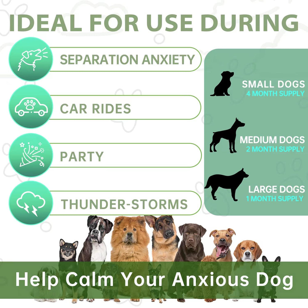 Dog in car during travel with Healpark calming chews.