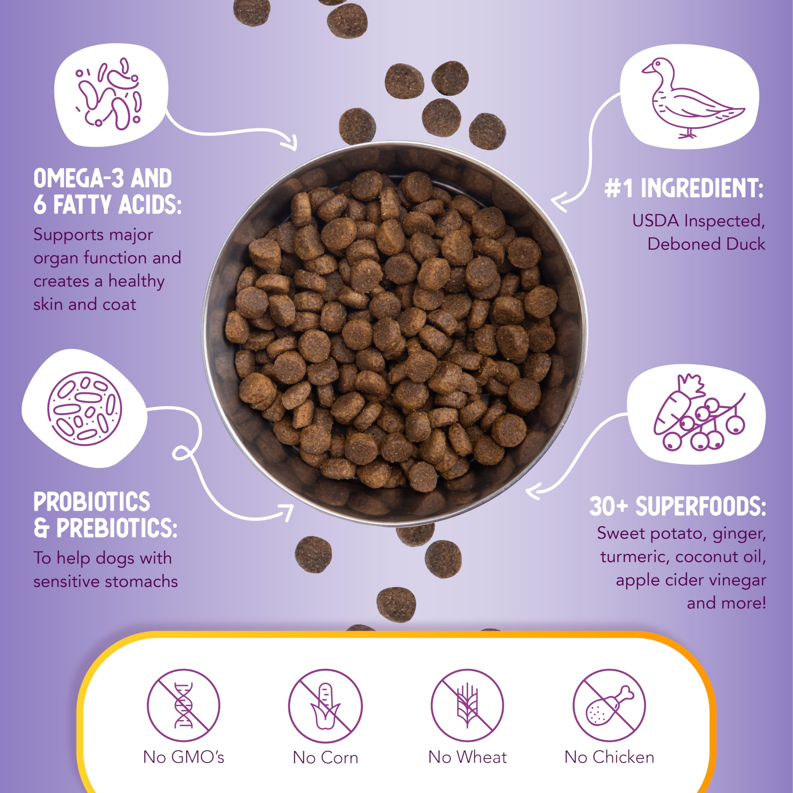 Health Extension 30 plus superfoods ingredients featuring turmeric and berries for natural antioxidant support