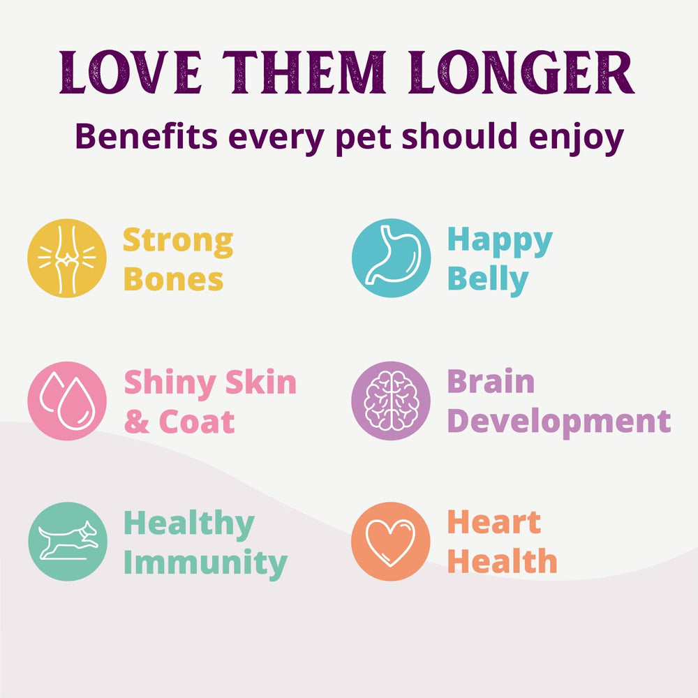 Health Extension 95% Chicken wet dog food supports easy digestion for sensitive stomachs