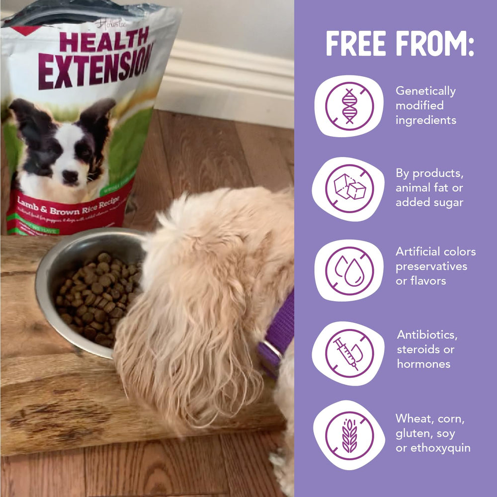 Health Extension brown-rice-energy: easy-to-digest carbohydrates for steady activity.