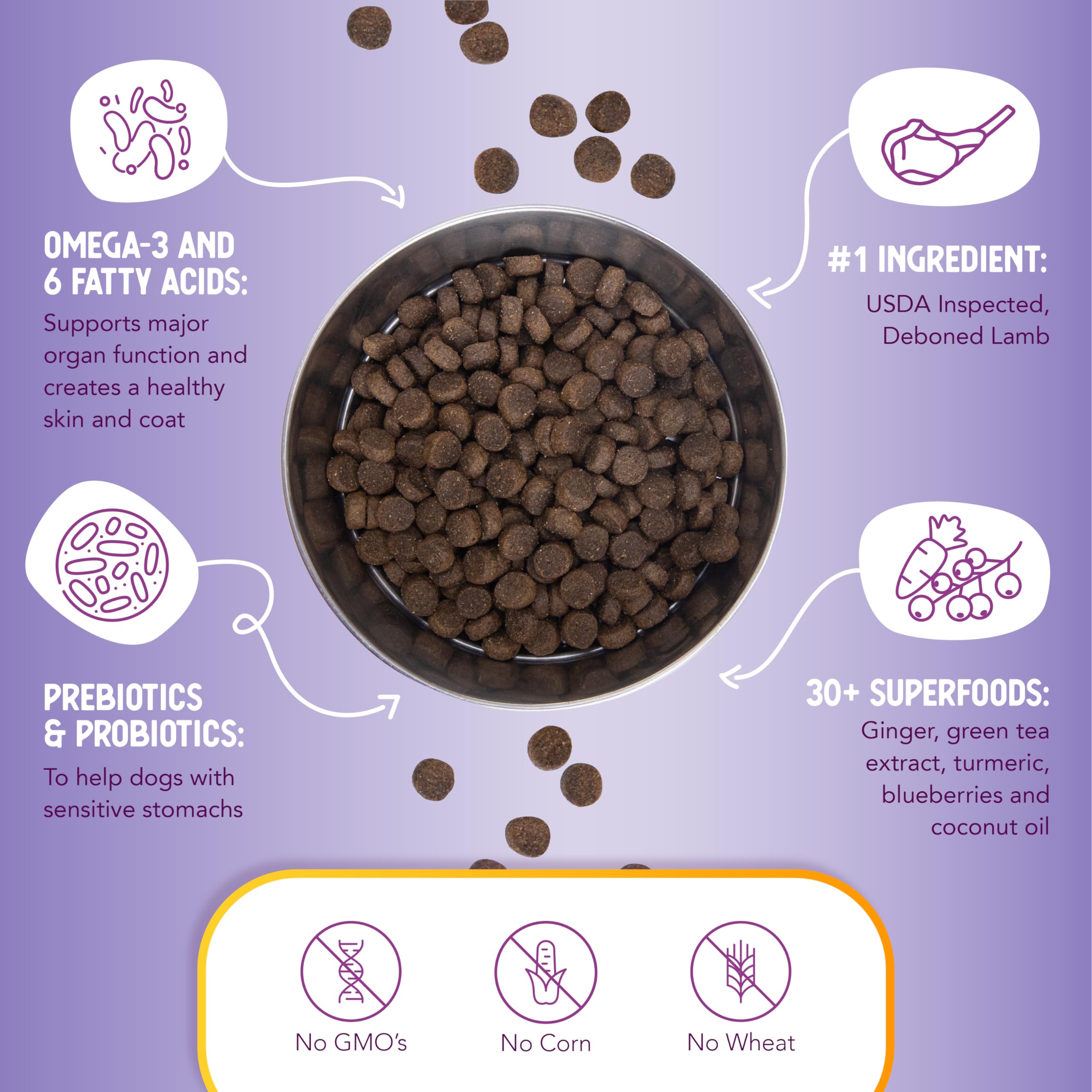 Health Extension digestive-immune-support: probiotics and prebiotics for gut health.