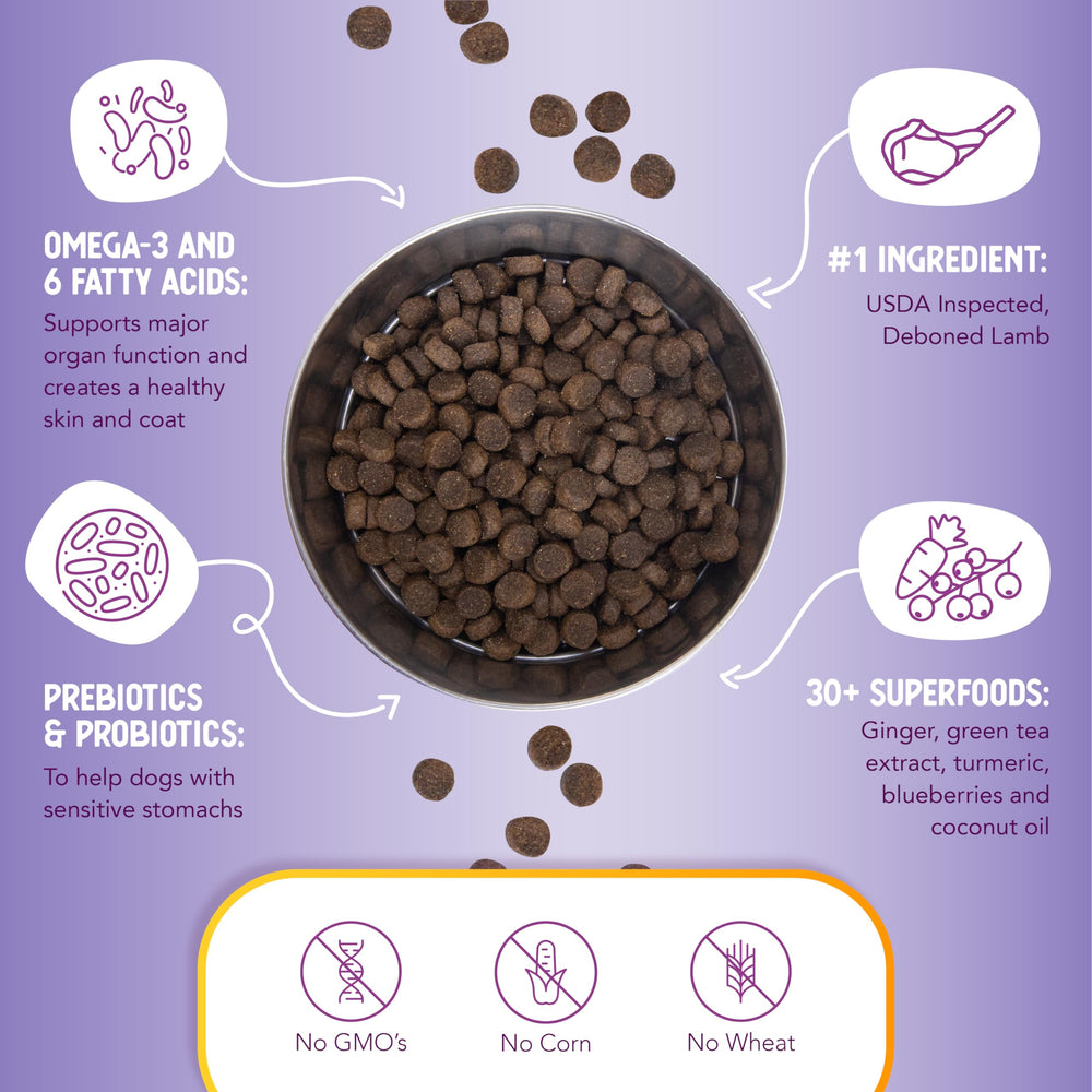 Health Extension digestive-immune-support: probiotics and prebiotics for gut health.