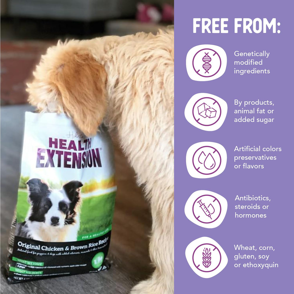 Health Extension dog during mealtime shows feeding convenience.