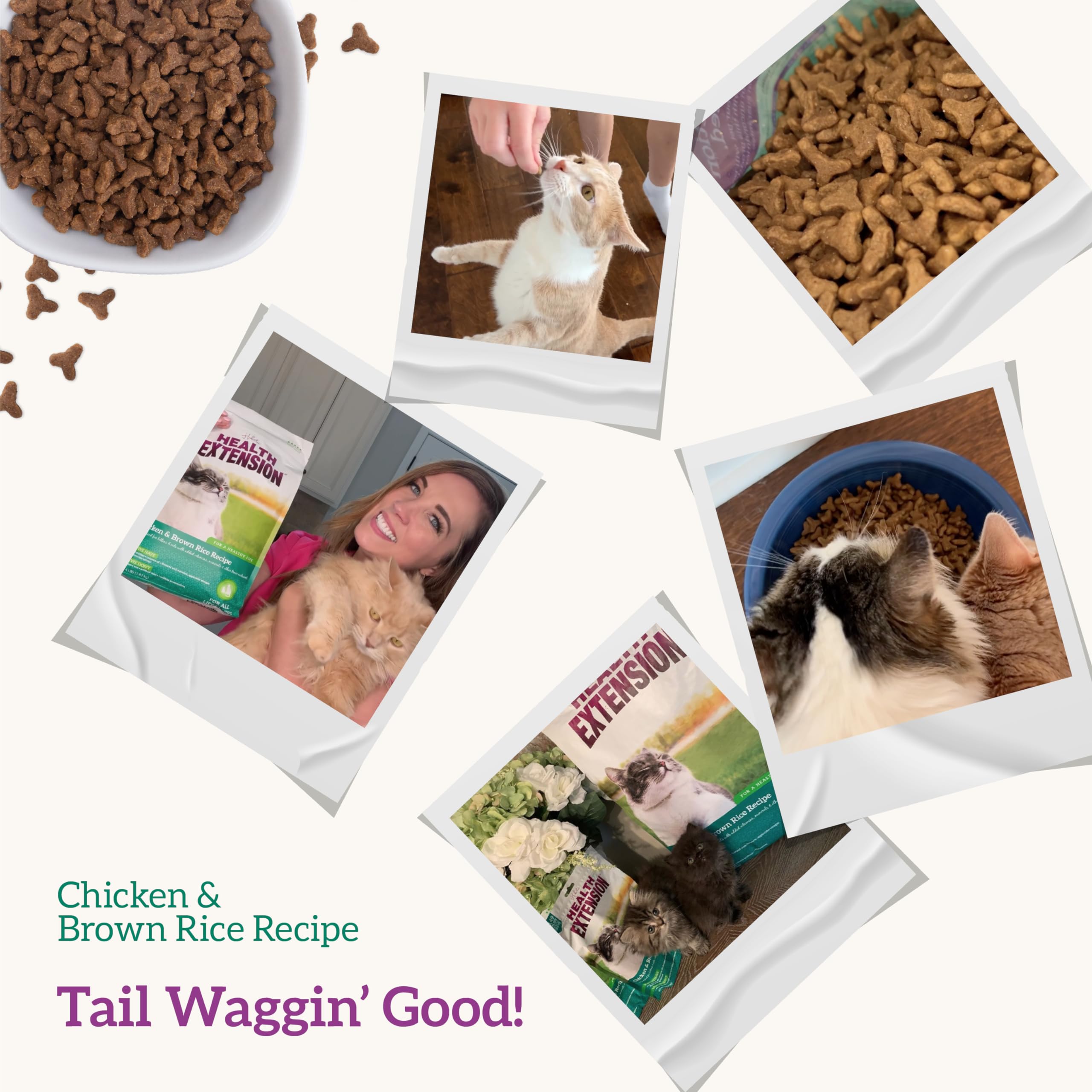 Health Extension dry cat food all-life-stage nutrition supports cats from kitten to senior years.