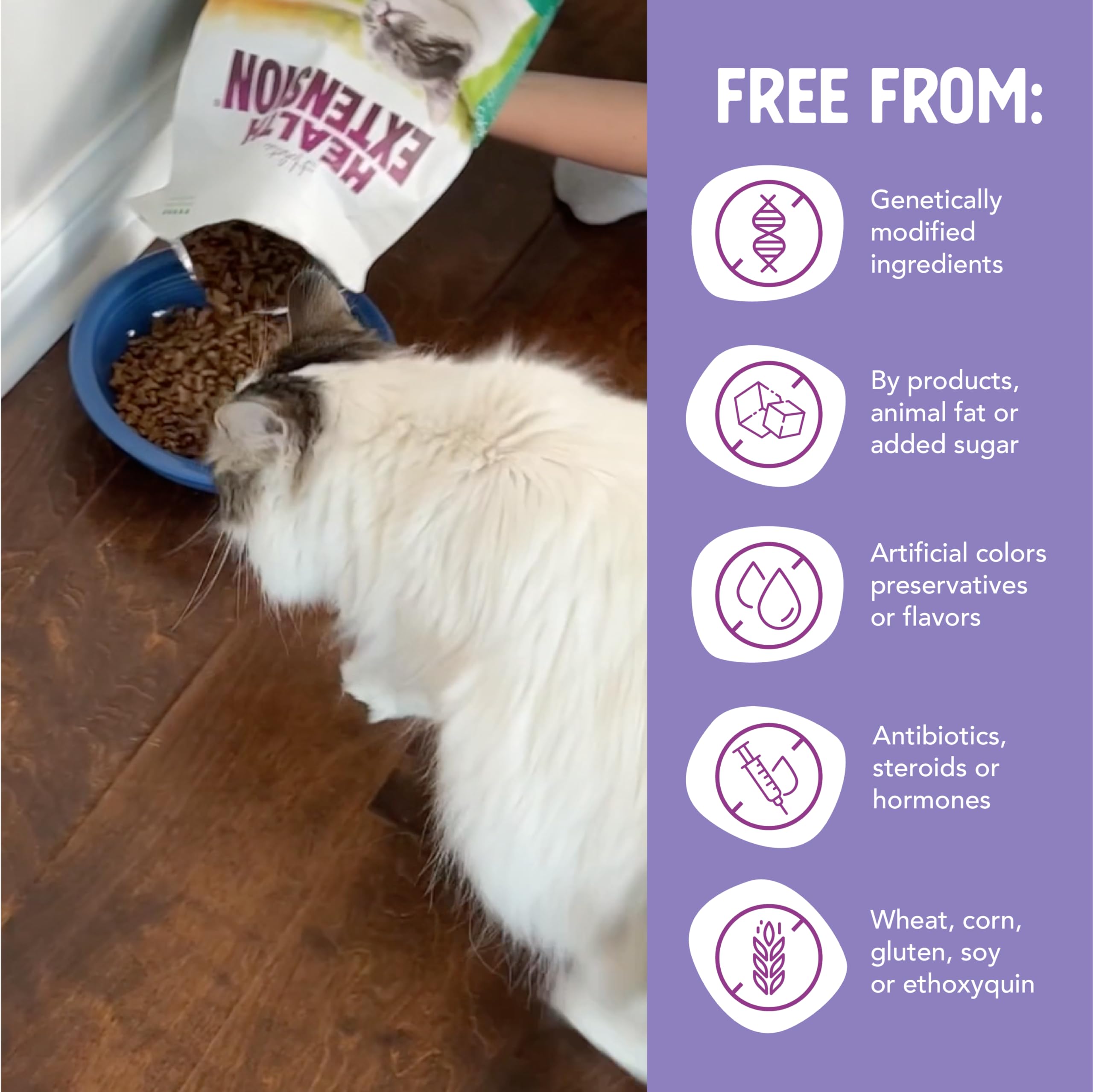 Health Extension dry cat food grain-free-no-fillers keeps meals simple and digestible for sensitive cats.